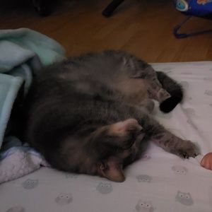 Meet your Posher, Ryann